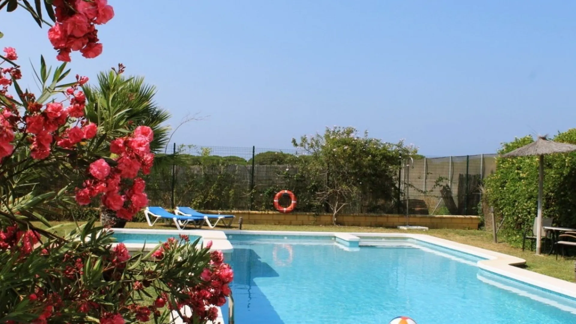 104960 - House In Conil De La Frontera Apartment Spain